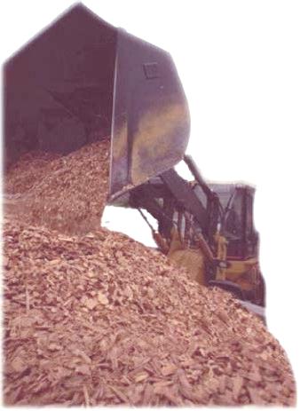 image_biomass