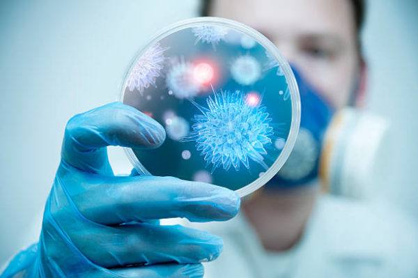 Cuales son las diferencias entre virus y bacterias