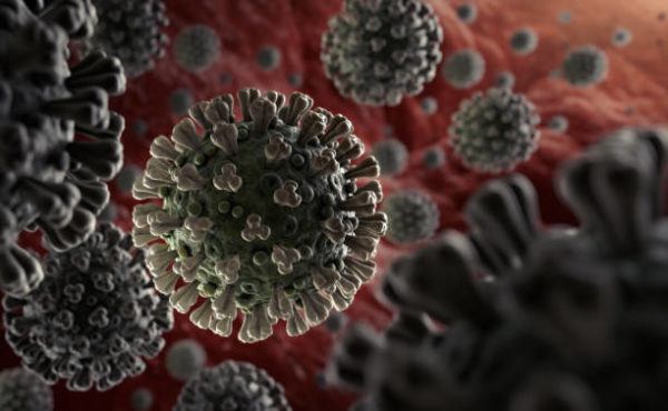 Virus parecidos al coronavirus