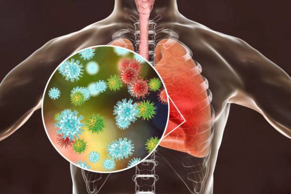 Virus parecidos coronavirus 