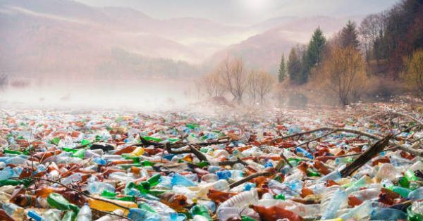 Los delitos contra el medio ambiente sanciones 