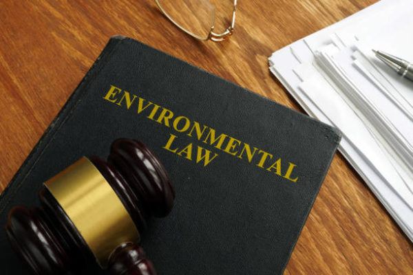 Los delitos contra medio ambiente sus sanciones 