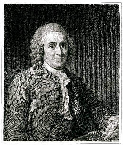 Taxonomia que es que estudia cuales las categorias 