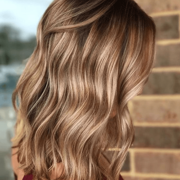 ¿Cuáles son las características del champú sin sulfatos nutritivo de Dalire? Esto es lo que opino tras probarlo volumen y brillo