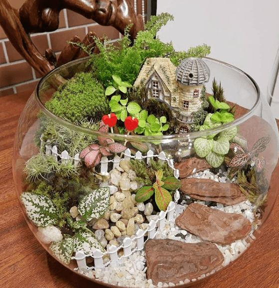 Los mejores trucos y consejos para hacer nuestro terrario decoración