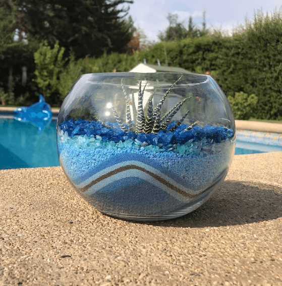 Los mejores trucos y consejos para hacer nuestro terrario riego