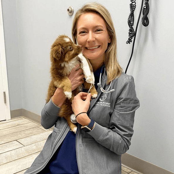 Alergias en Perros: síntomas, pronóstico y tratamiento veterinaria