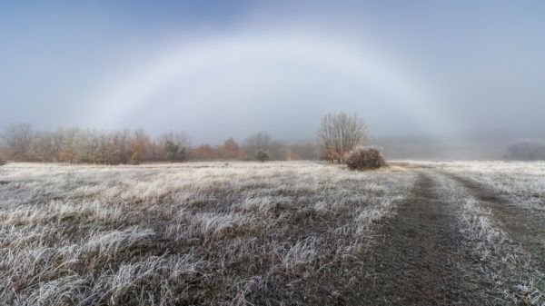 Como cuidar plantas casa para que no se mueran heladas 
