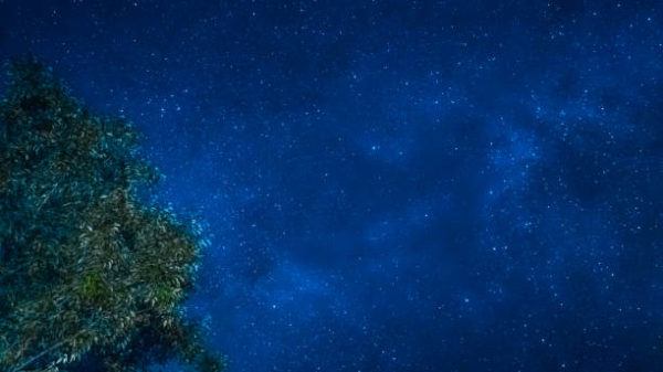 Lluvia estrellas leonidas cuando es cuando se como ver donde ponerse 