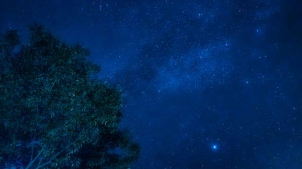 Lluvia estrellas leonidas cuando es se produce como ver donde ponerse 