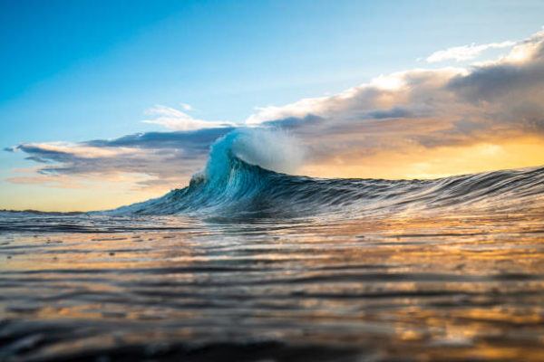 Dia mundial de los oceanos cuando es por que se celebra cuantos oceanos hay cual es el mas grande 