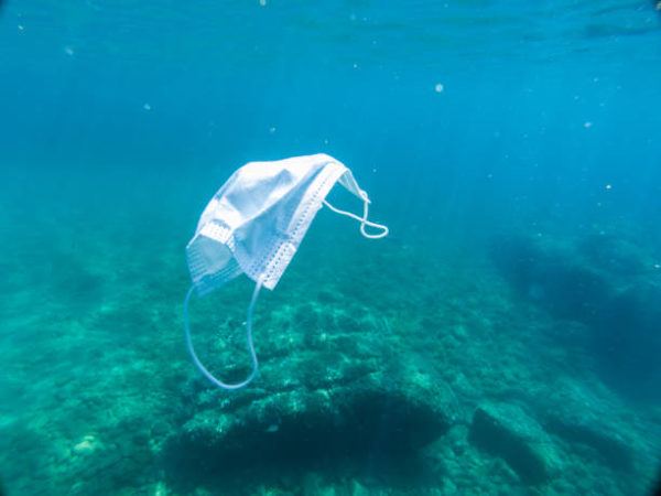 Dia mundial de los oceanos cuando es por que se celebra cuantos oceanos hay y cual es el mas grande 