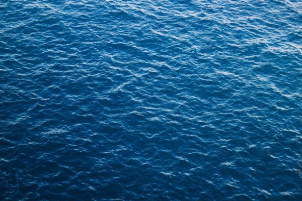 Dia mundial de los oceanos cuando es por que se celebra cuantos oceanos hay y cual es mas grande 