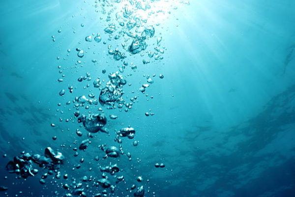 Dia mundial de los oceanos cuando por que celebra cuantos oceanos hay y cual es el mas grande 