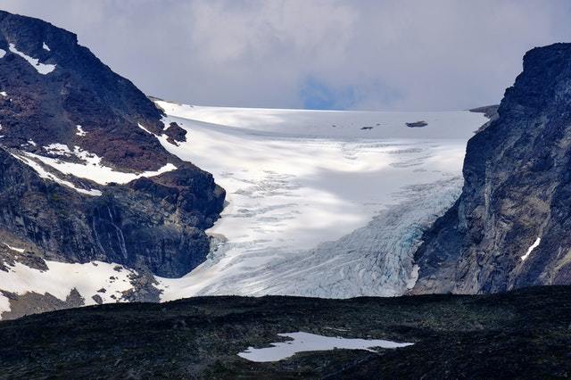 Tundra: Qué Es, Sus Características, Clima, Tipos, Fauna Y Flora ...