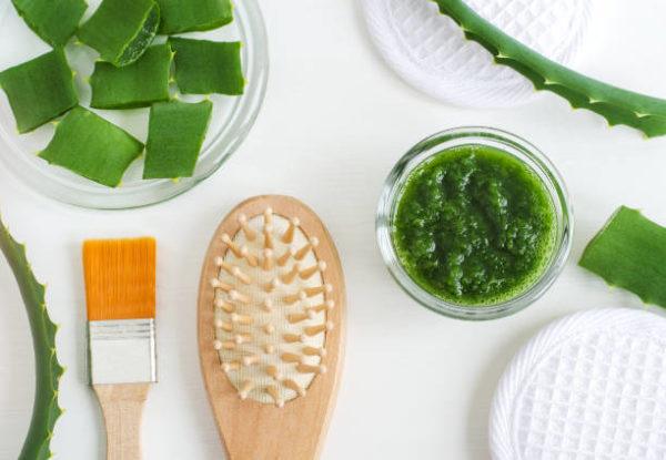 Como hacer mascarilla nutritiva cabello con aloe vera 