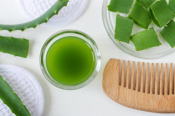 Como hacer una mascarilla nutritiva para el cabello con aloe vera 